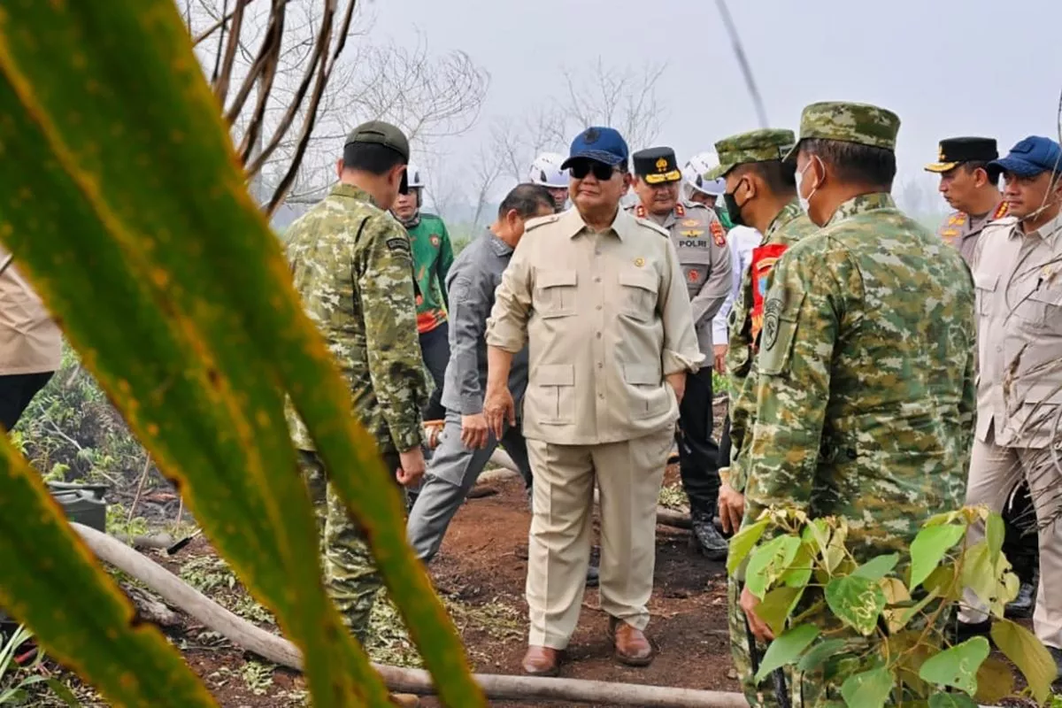 Prabowo Akan Tinjau Karhutla Sumatera, Diawali dari Provinsi Riau
