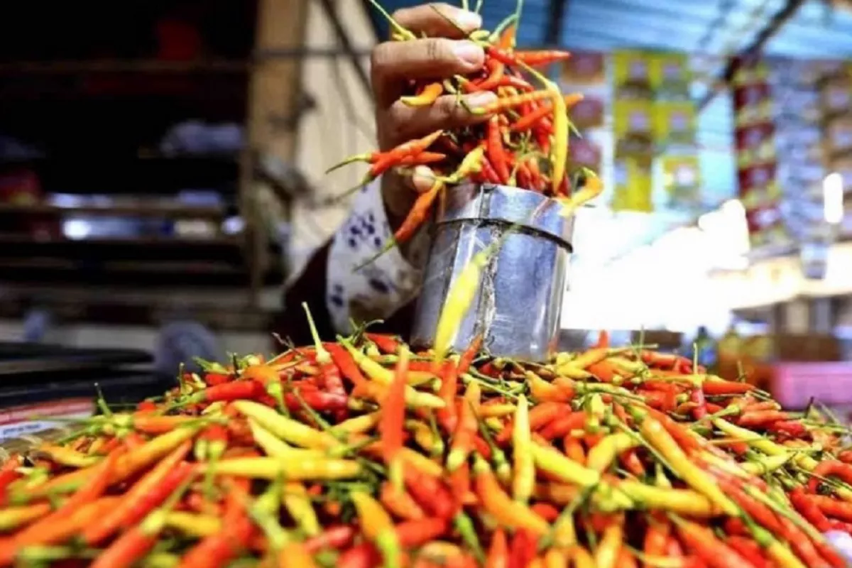 Update PIHPS 13 Mei: Harga Cabai Rawit Merah Tembus Rp 74.150 per Kg