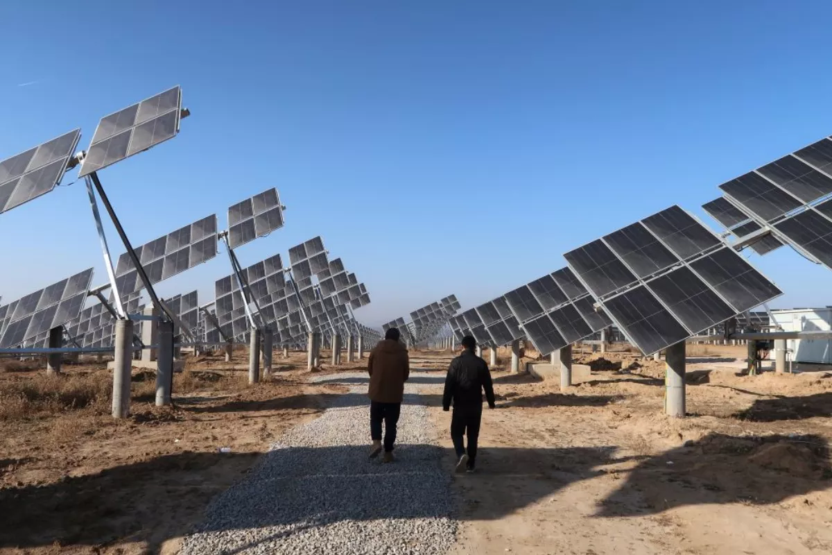 Energi Terbarukan Resmi Lampaui Batu Bara dalam Listrik Global