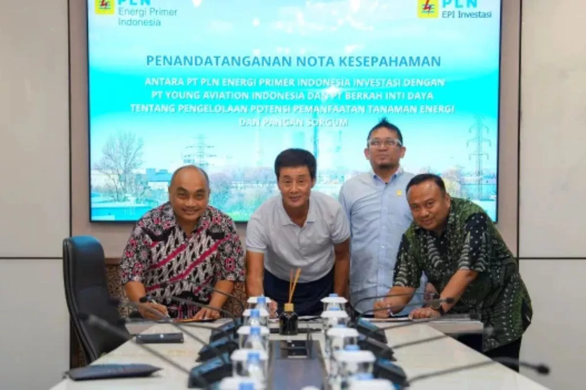 Dorong Transisi Energi, PLN EPI Garap Potensi Bioenergi Sorgum