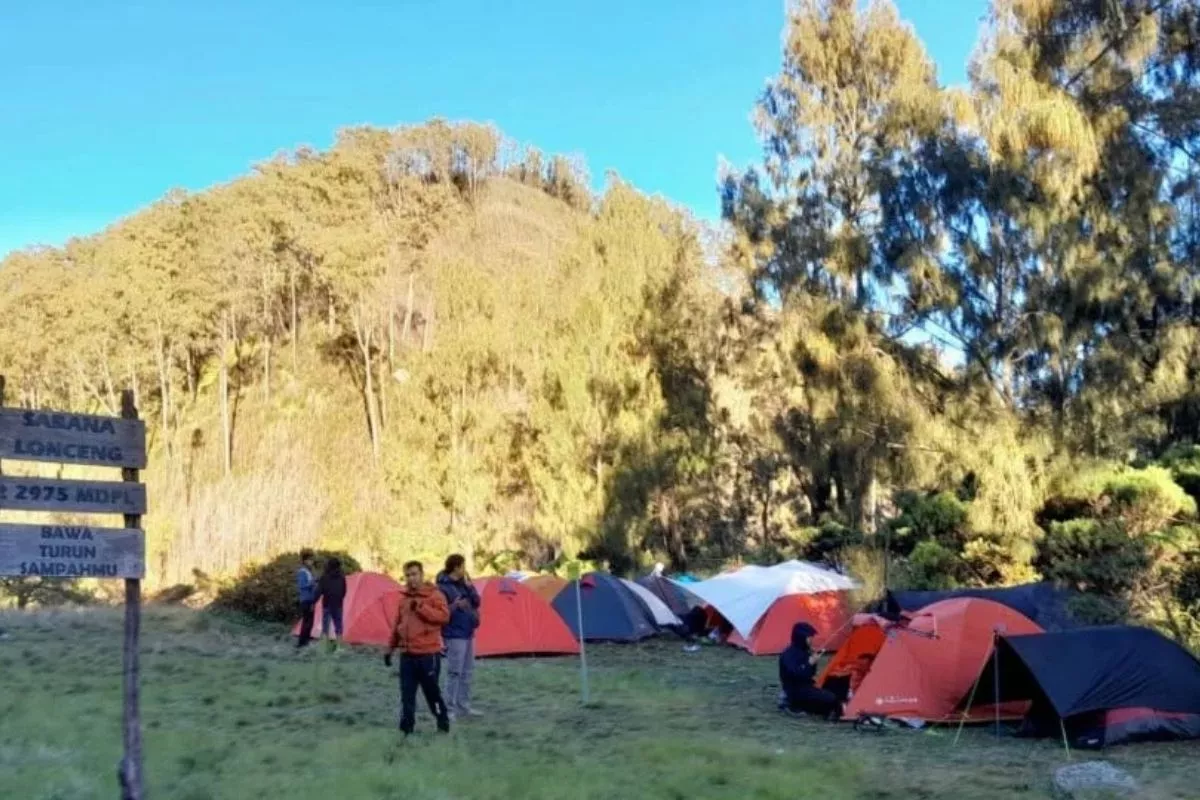 Minat Aktivitas Outdoor Naik, Bisnis Perlengkapan Tumbuh Positif