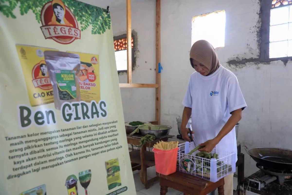 BRI Peduli Beri Bantuan Berkelanjutan bagi UMKM Desa BRILiaN Saat Ini.