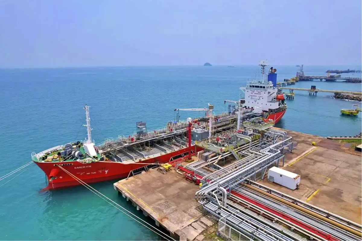 Grup Prajogo Pangestu: CDIA Akuisisi Saham AMP Senilai Rp1,60 T