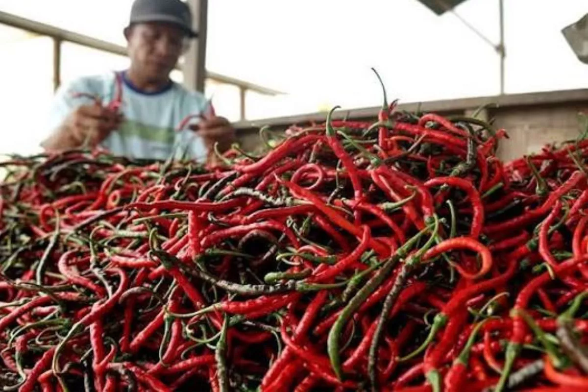 PIHPS: Cabai Rawit Tembus Rp61.900, Telur Ayam Rp29.050 per Kg