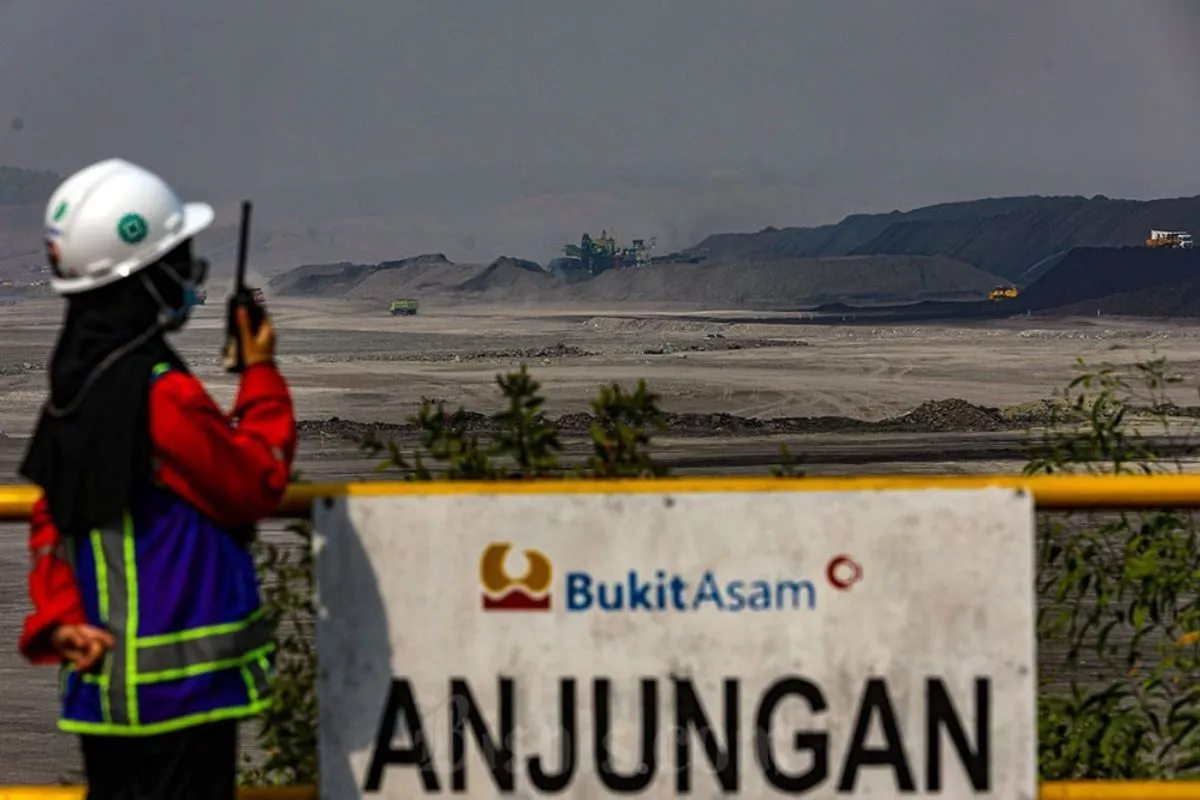 Perjalanan Kinerja Keuangan Bukit Asam PTBA dalam 10 Tahun Terakhir
