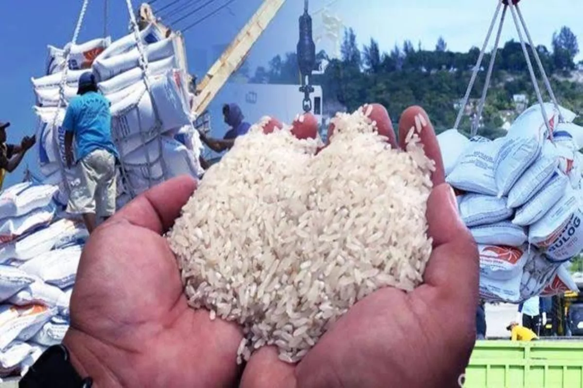 Alasan Utama Kebijakan Pangan Penting dan Bahaya Ketergantungan Impor