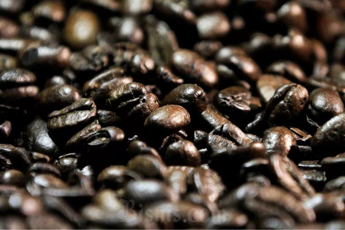 Ambisi Ekspor Kopi Rp200 Triliun RI Terhambat Produktivitas Hulu