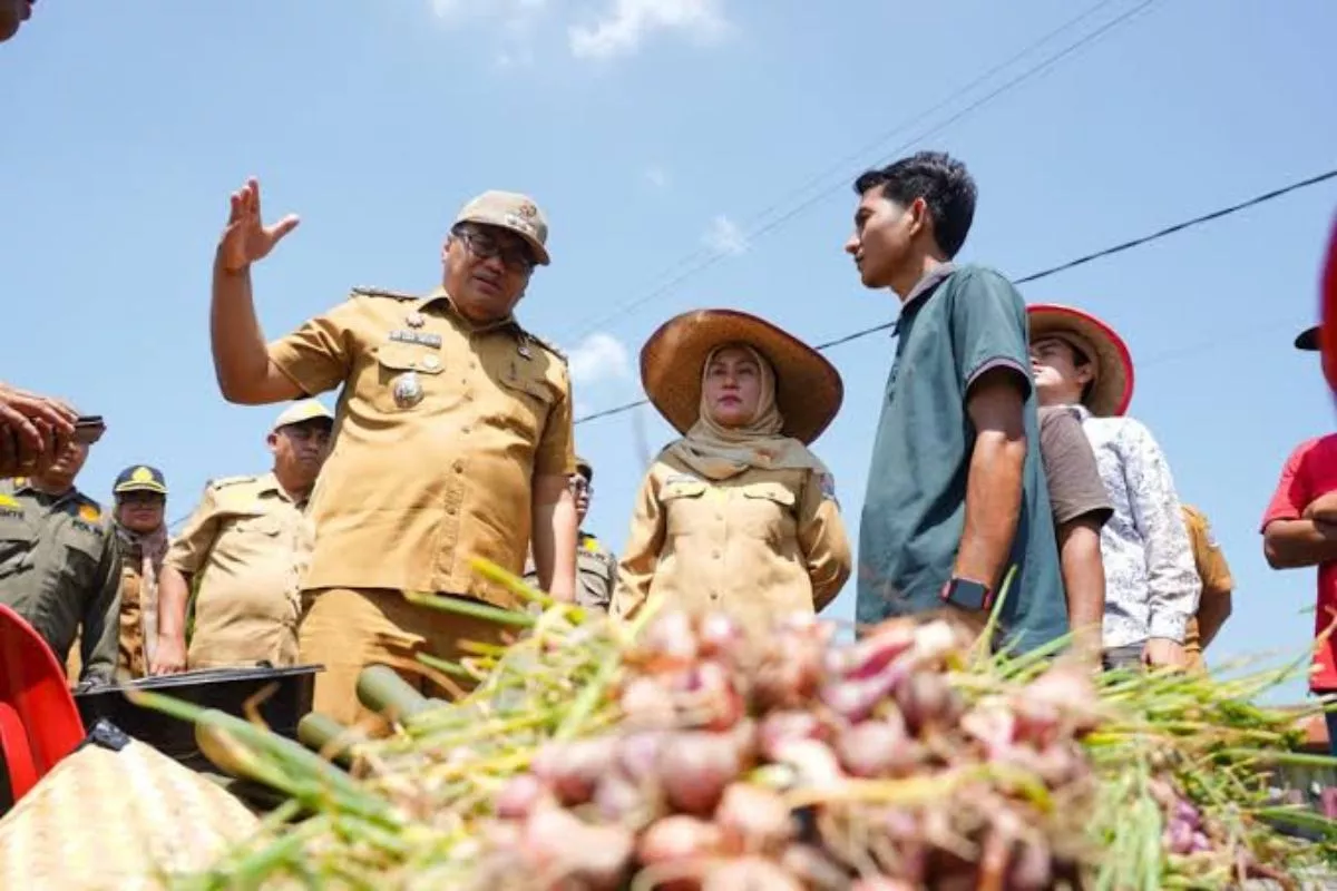 Melalui Si PANDAI, Deli Serdang Atasi Fluktuasi Bawang Merah