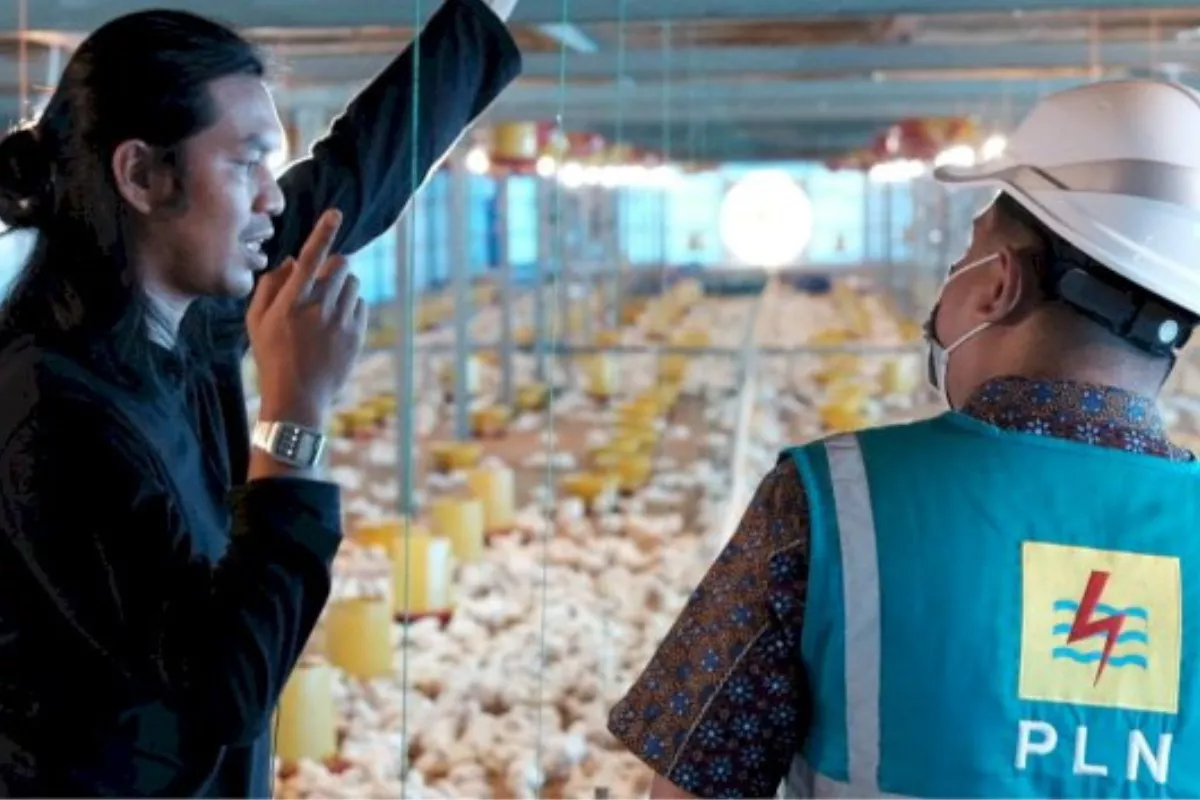 PLN Sulselrabar Tambah 369 Pelanggan Baru Sektor Agrikultur