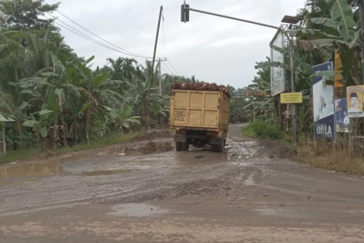 Dampak Rasionalisasi Pusat, Anggaran Jalan Tanjabtim Menyusut