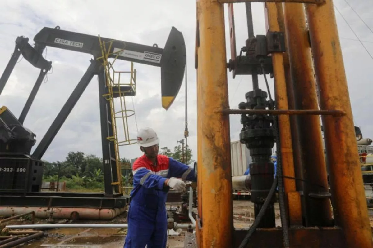 Produksi Minyak Papua Tembus 14 Mbopd, Fokus Kejar Cadangan Baru