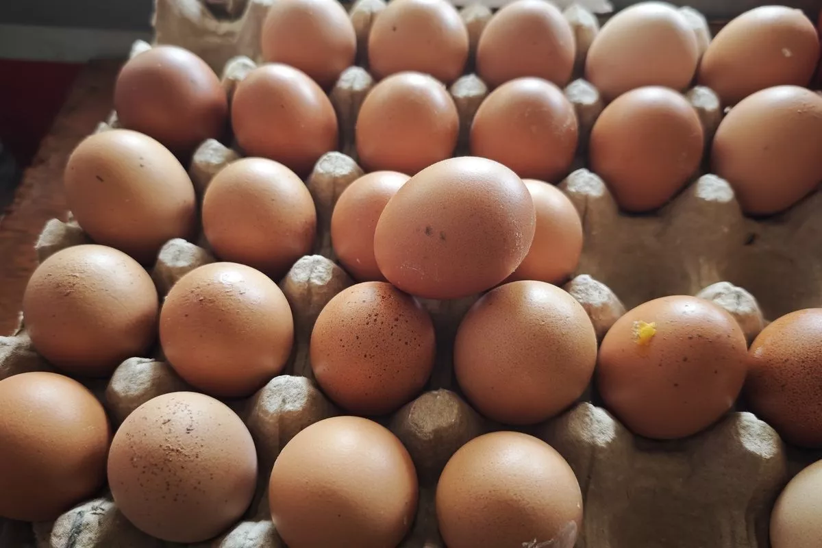 Update Harga Pangan Nasional Cabai Rawit Merah dan Telur Ayam