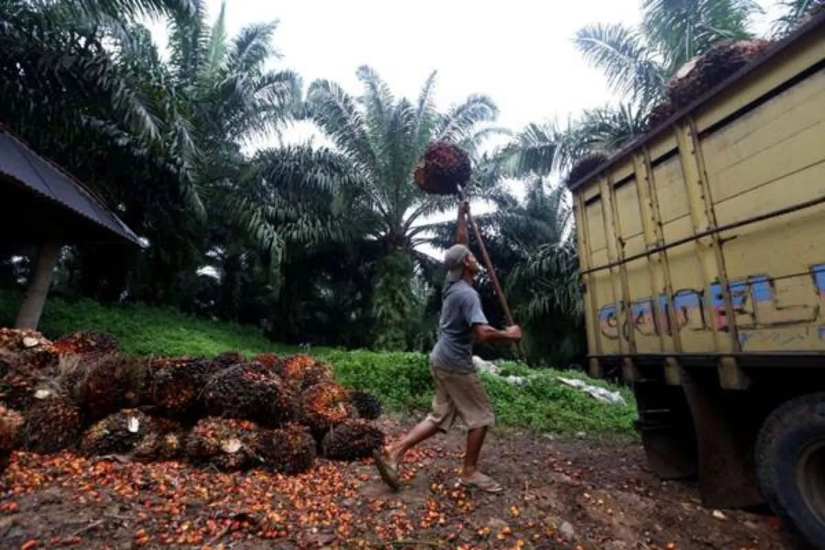 Mitigasi El Nino dan Karhutla, BWPT Andalkan Teknologi Satelit