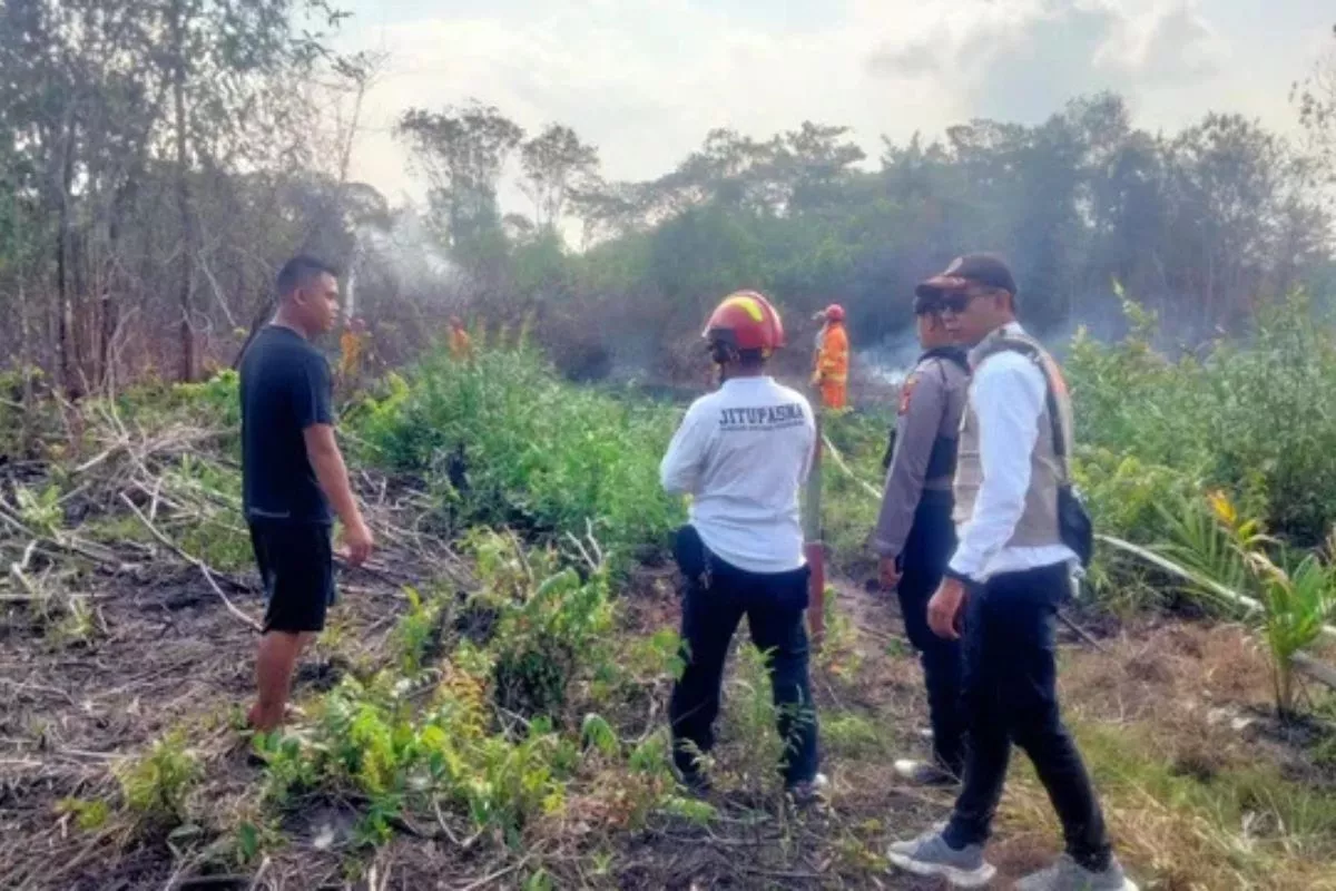 Karhutla 20 Hektare Landa Kutai dan Paser Tanpa Korban