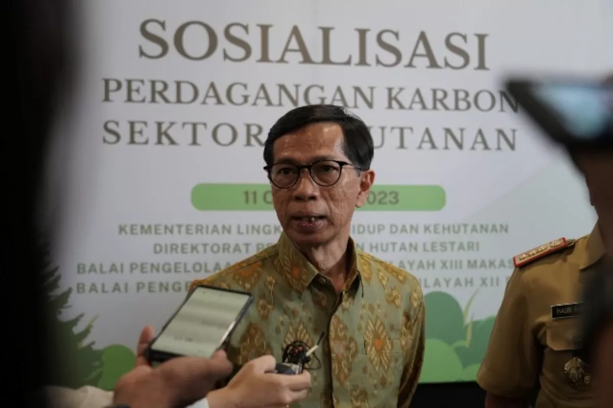 Aturan Baru Kemenhut: Hanya PBPH yang Berhak Ajukan Kredit Karbon