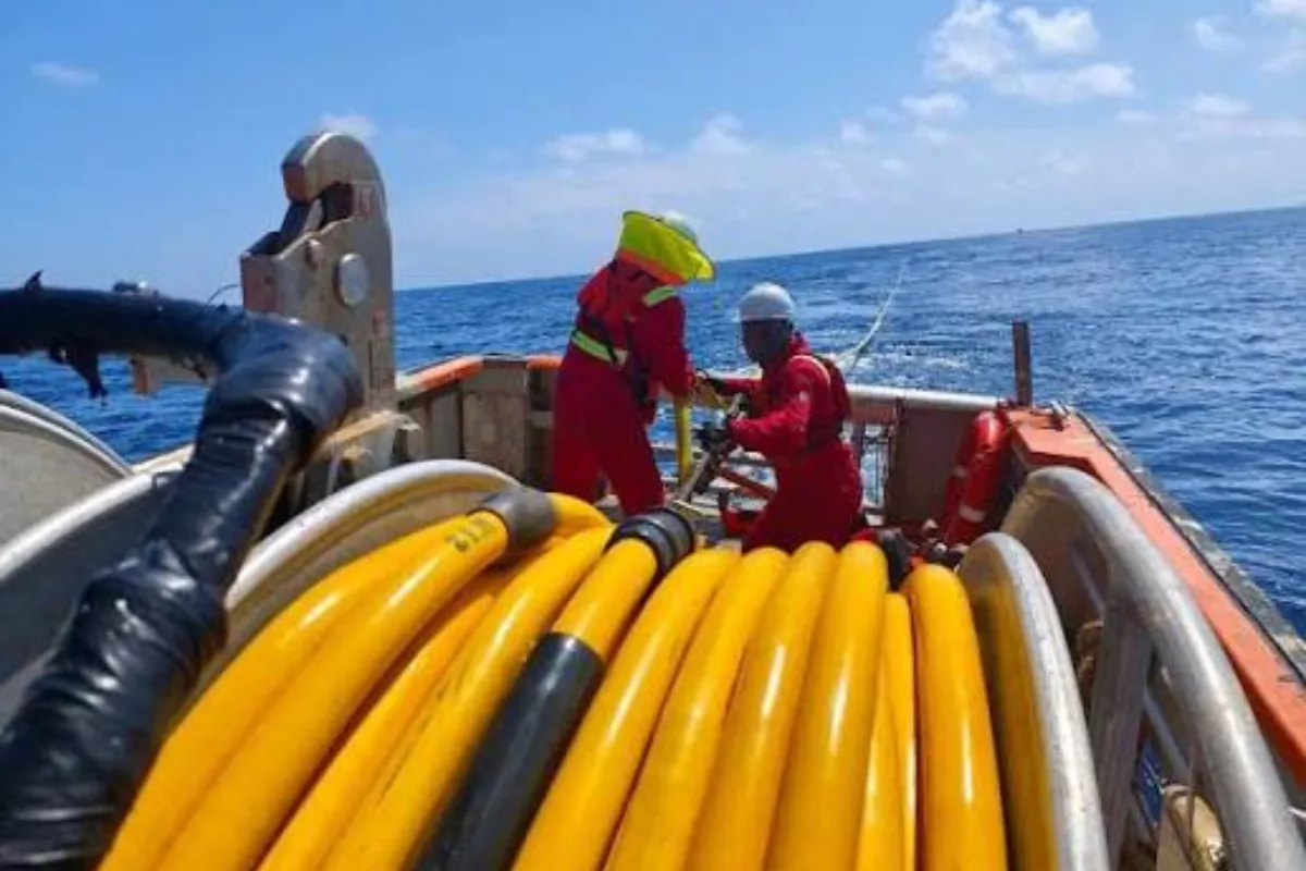 Elnusa Rampungkan Survei Seismik 3D Kandawulo Seluas 2.500 Km²