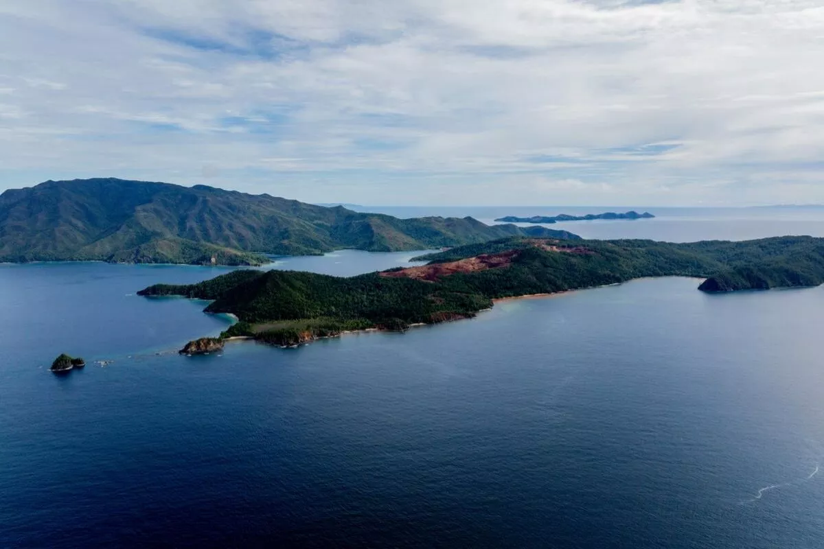 Greenpeace: Transisi Energi Tak Perlu Tambang Nikel Berlimpah
