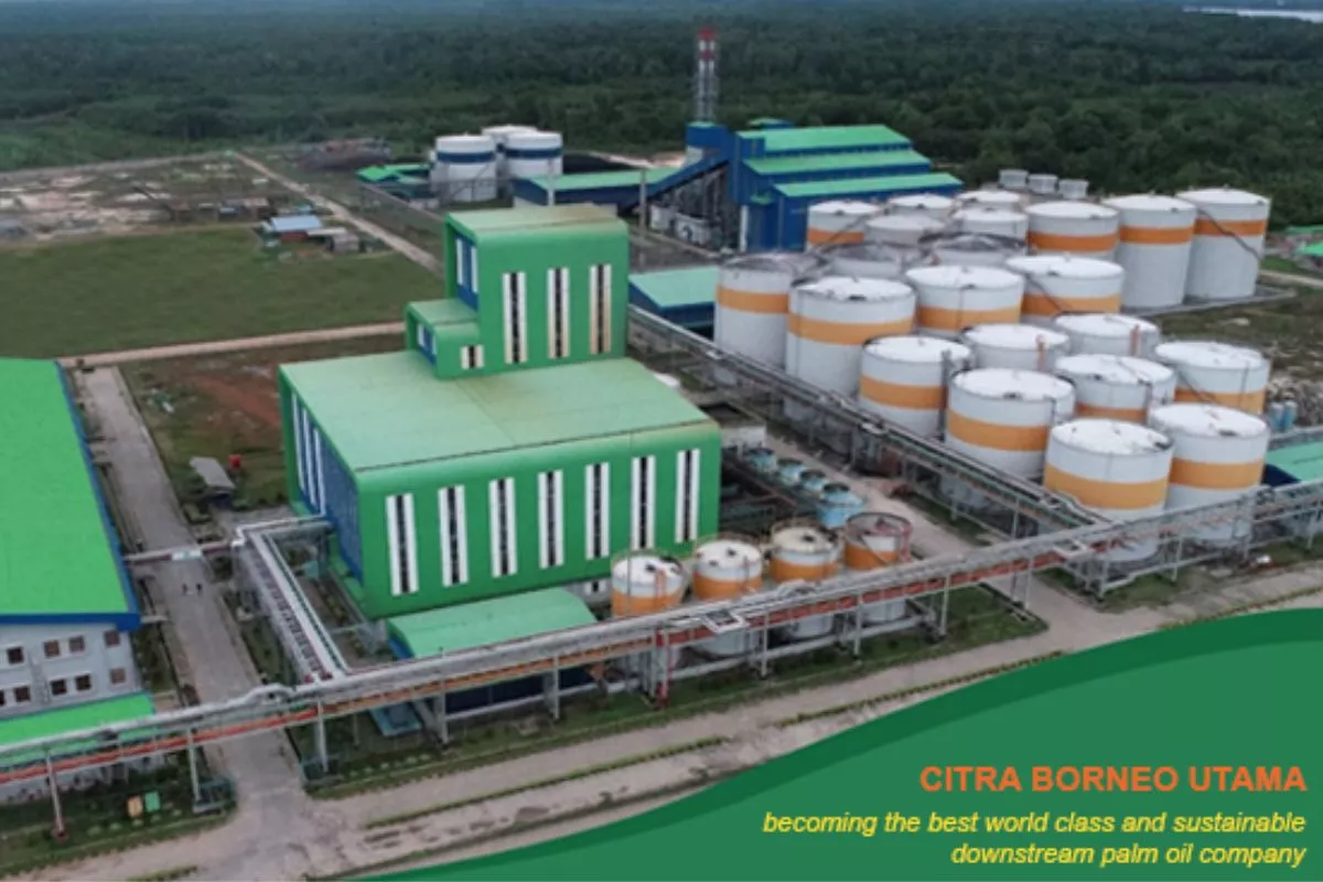 Beroperasi Juli 2026, Citra Borneo (CBUT) Siap Optimalkan Cuan Program B50