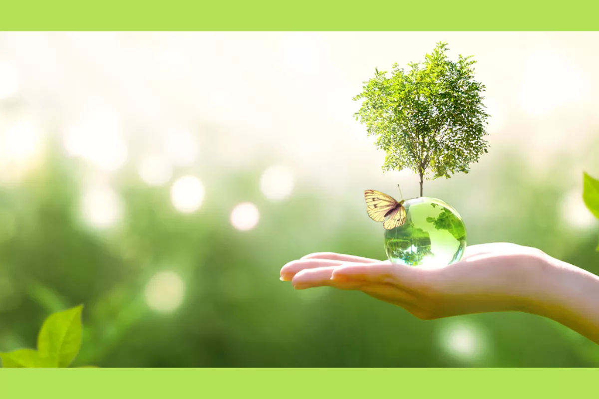 Lonjakan Saham Sektor Energi Hijau: Wawasan Strategis Bagi Pemodal