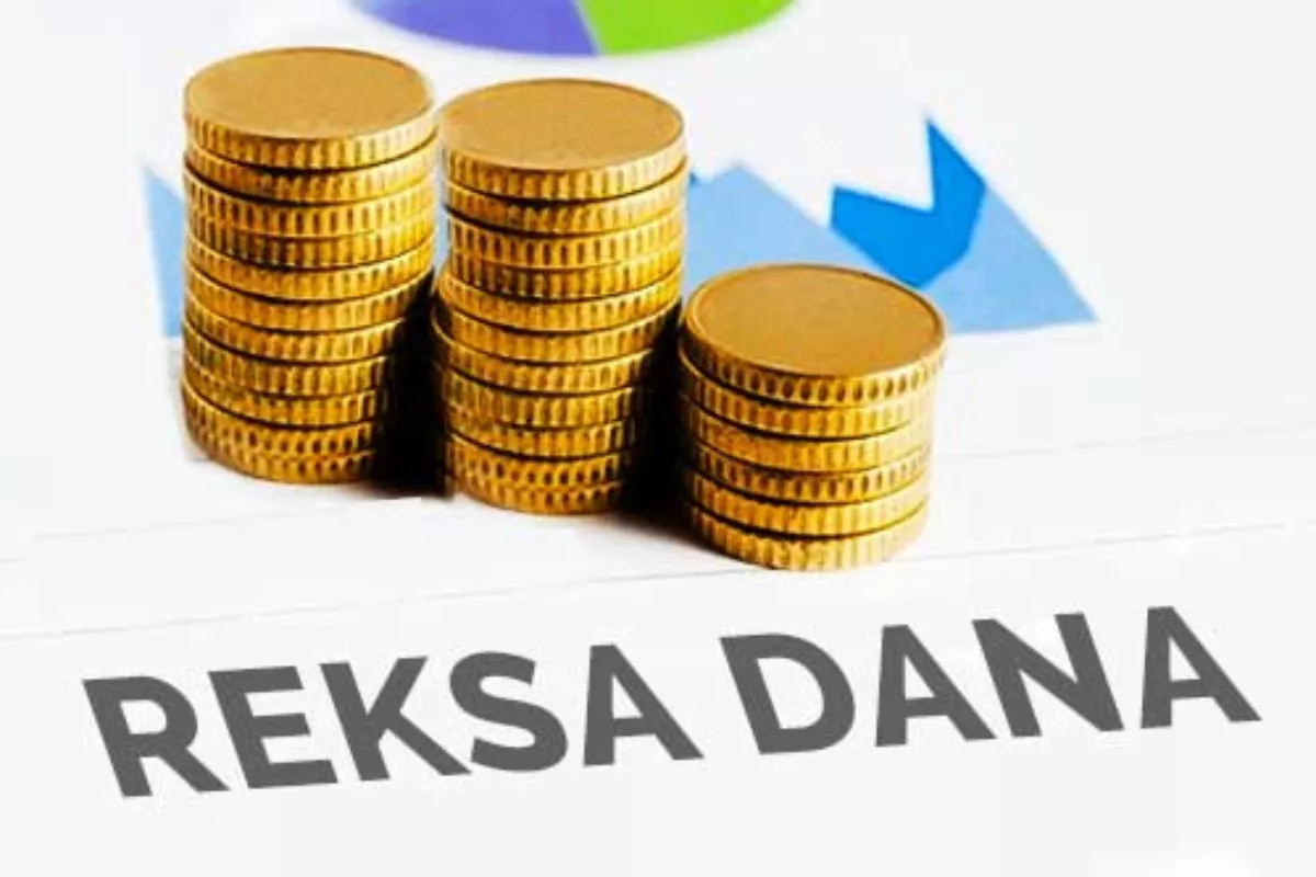 Panduan Investasi Reksadana untuk Pemula agar Cuan Maksimal