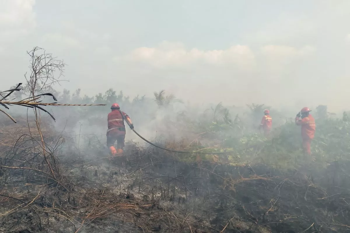 Kualitas Udara di Kota Pekanbaru Membaik Menurut Laporan BNPB
