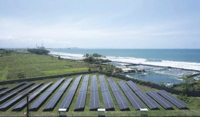 PLTS Solar Grazing: Inovasi Sinergi Agrivoltaik Modern Indonesia