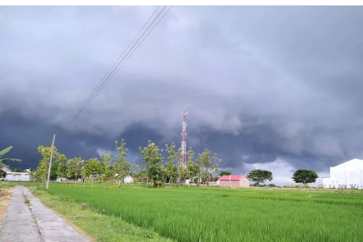 BMKG Prakirakan Cuaca Sebagian Besar Wilayah Indonesia Berawan Minggu Ini