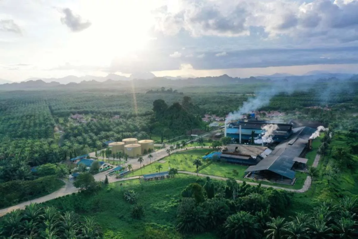 Saham BWPT Melejit 41,30 Persen dalam Sebulan Terakhir