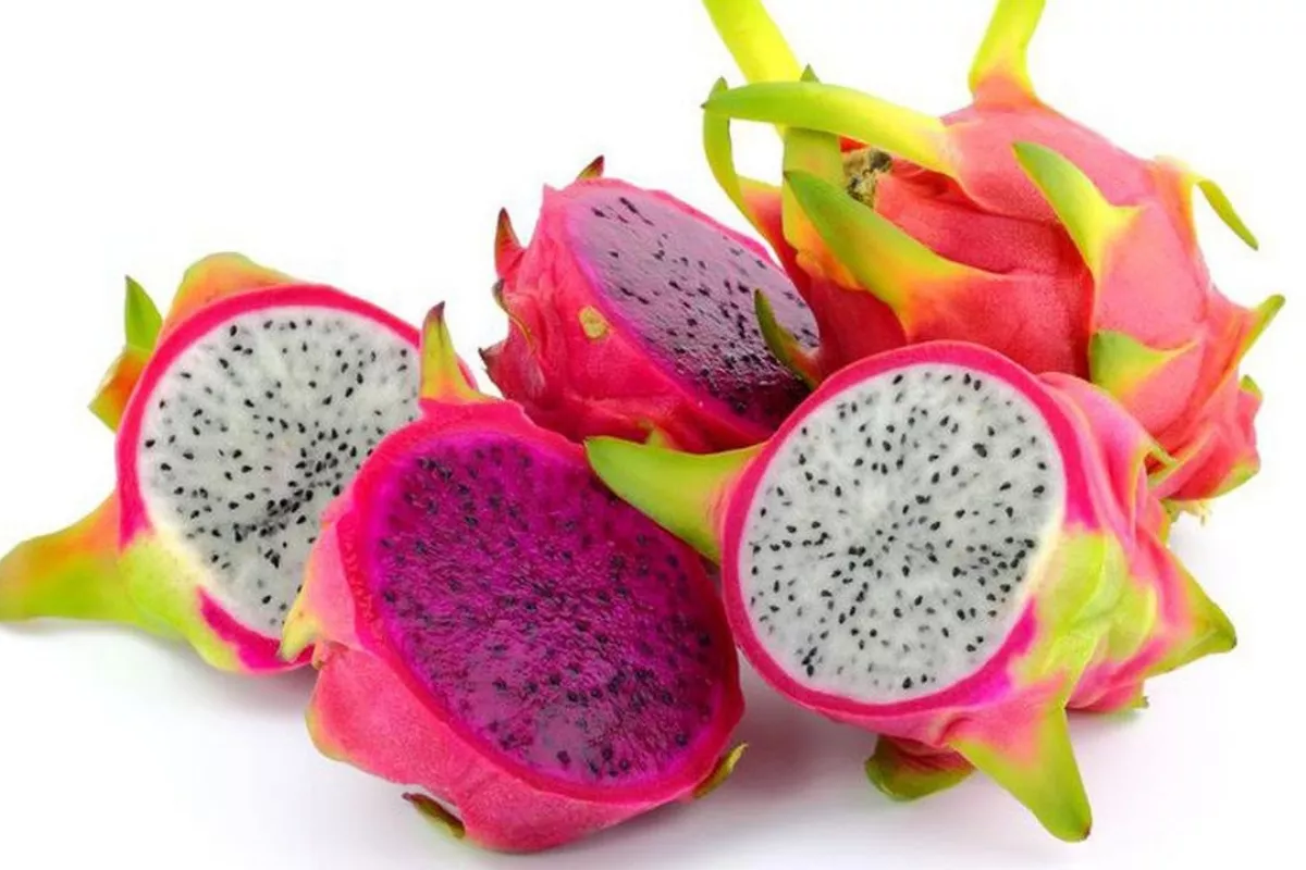 Manfaat Ajaib Mengurangi Tanda Penuaan Dini dengan Buah Naga Segar
