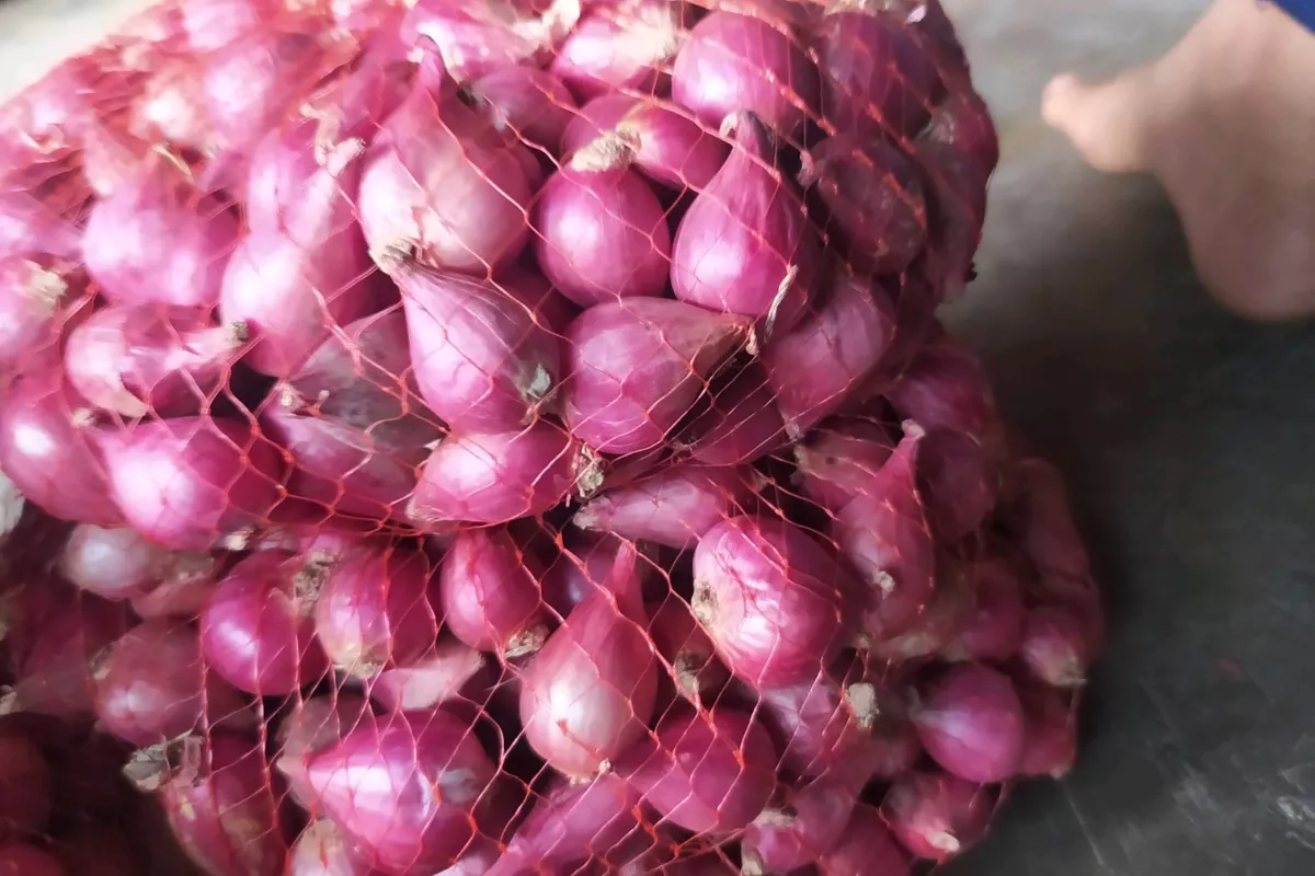 Awal Agustus 2026, Bawang Merah dan Beras Merangkak Naik