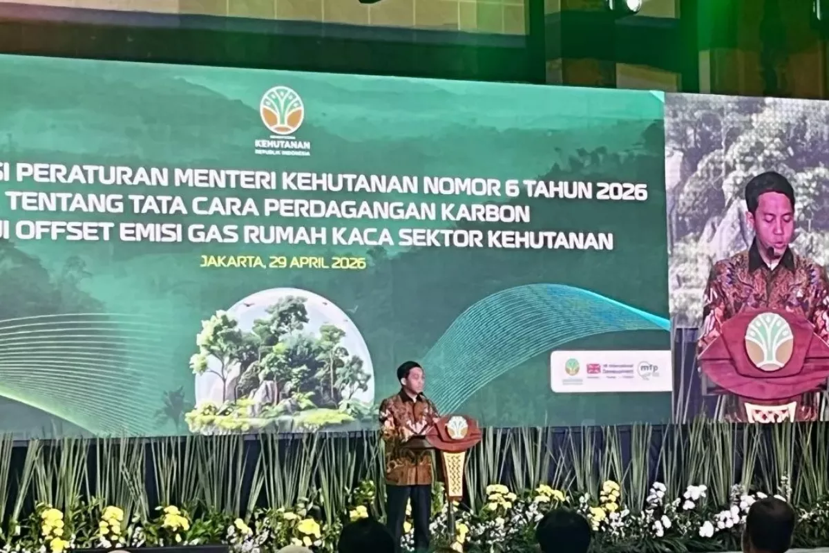 Menhut: Ekosistem Perdagangan Karbon Indonesia Siap Dihadirkan