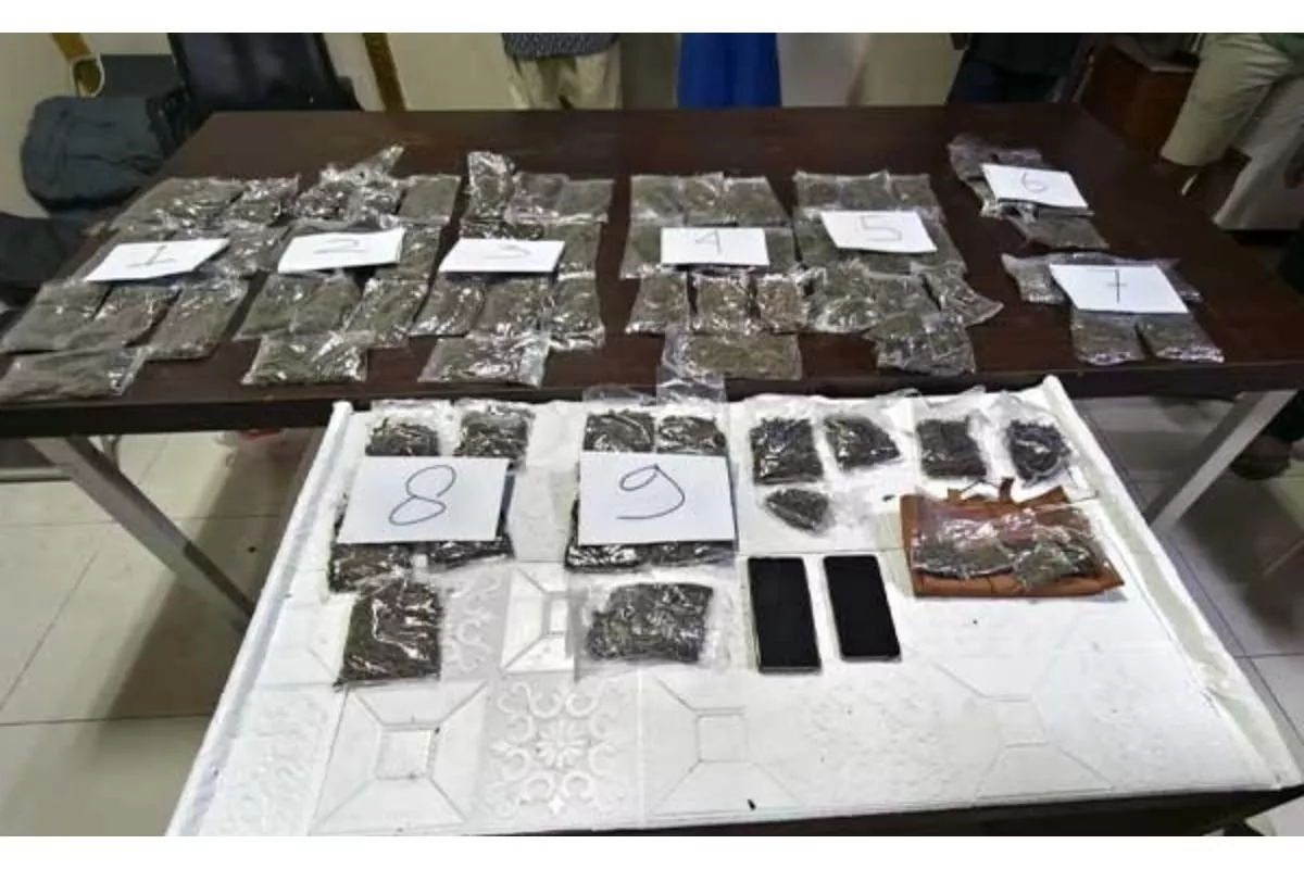 Polda Papua Barat Ungkap Peredaran Ganja, Tiga Pelaku Diamankan