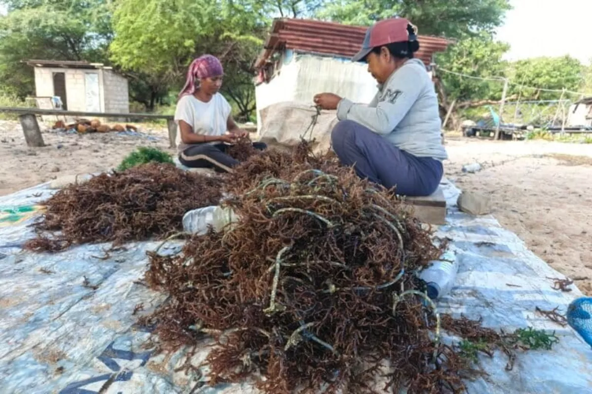 Penyelesaian Konflik Agraria Warga Kotabaru dengan Tambang Batubara