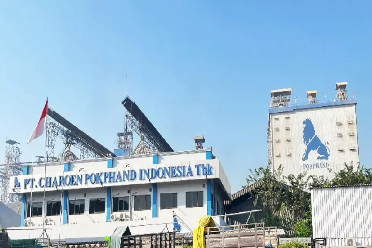 Rencana Dividen Rp3 Triliun Buat Saham CPIN Berhasil Bangkit