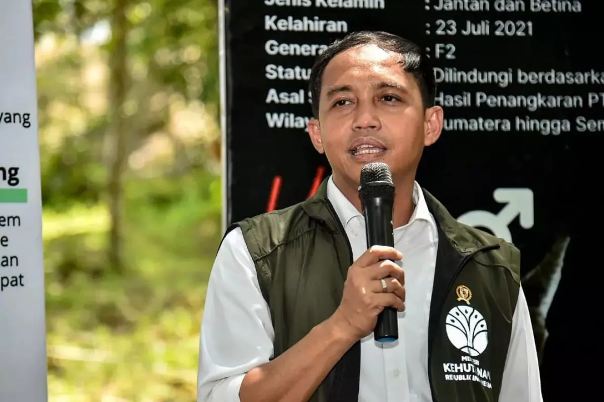 London Climate Action Week, RI Tegaskan Pembiayaan Inovatif TN