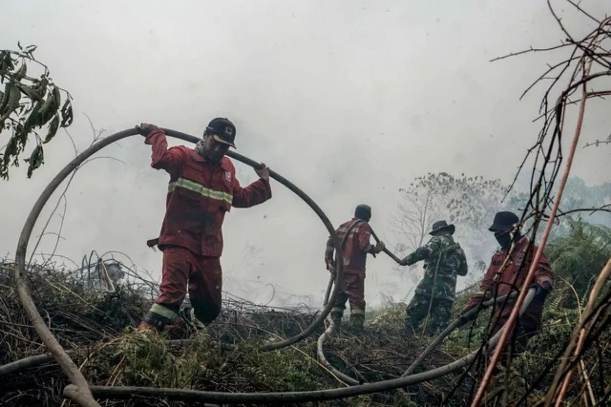 Tangani 306 Hotspot Riau, Prabowo Perintahkan Pembuatan Sumur Bor