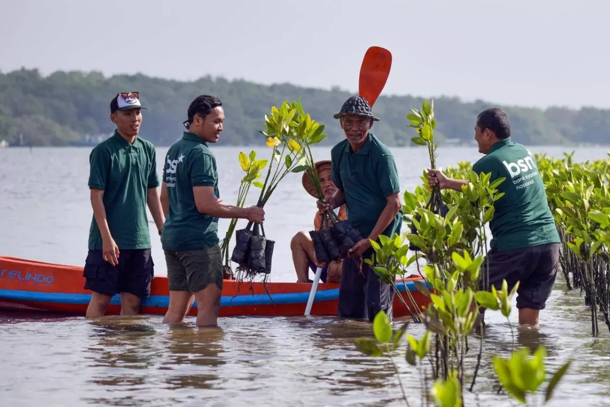 Hari Mangrove Sedunia Jadi Momen BNI Perkuat Kelestarian Pesisir