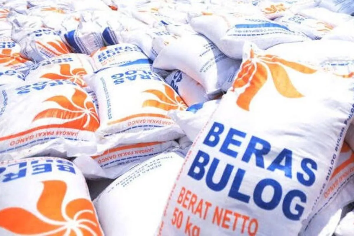 Bulog Serap 3,5 Juta Ton Setara Beras Petani demi Ketahanan Pangan