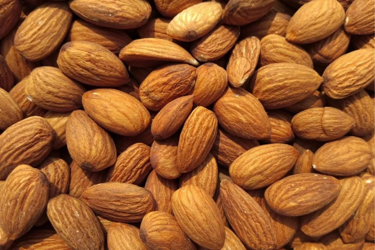 Manfaat Kacang Almond untuk Tidur Nyenyak Menurut Studi Terbaru