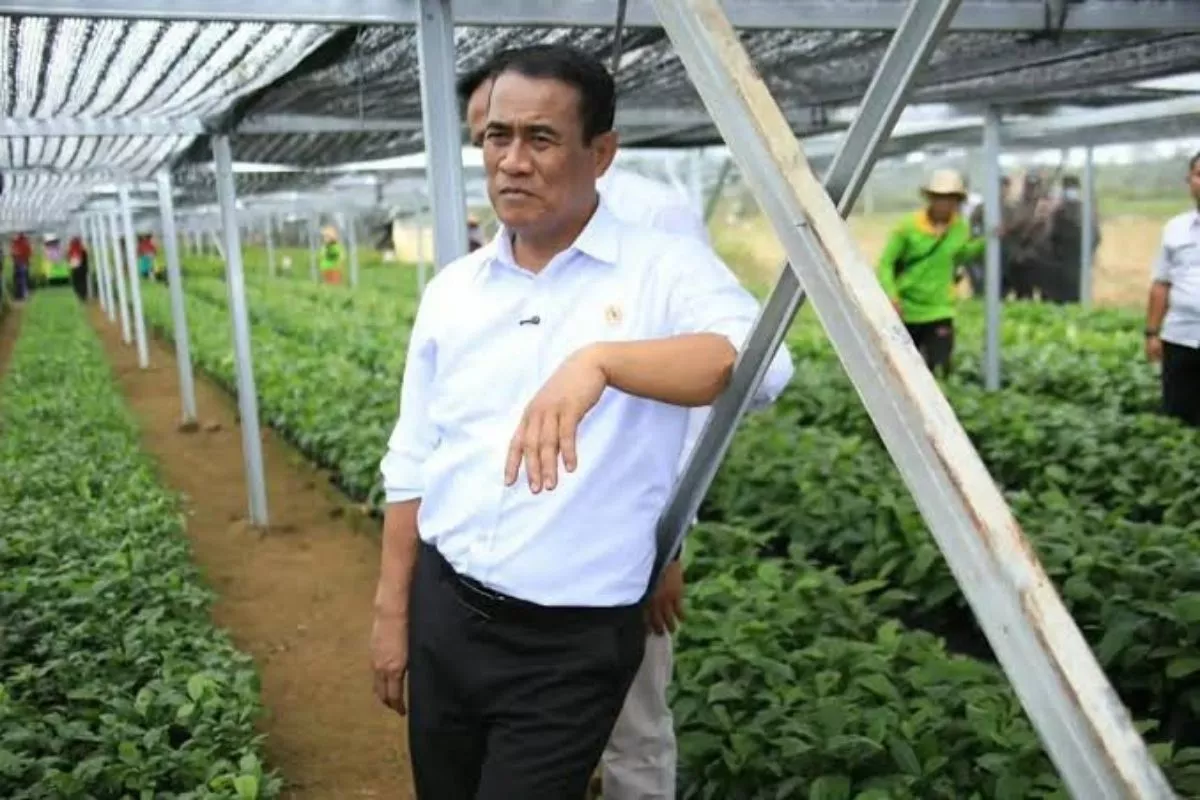 Pembibitan Kopi dan Kakao di Lampung Serap hingga 200 Tenaga Kerja
