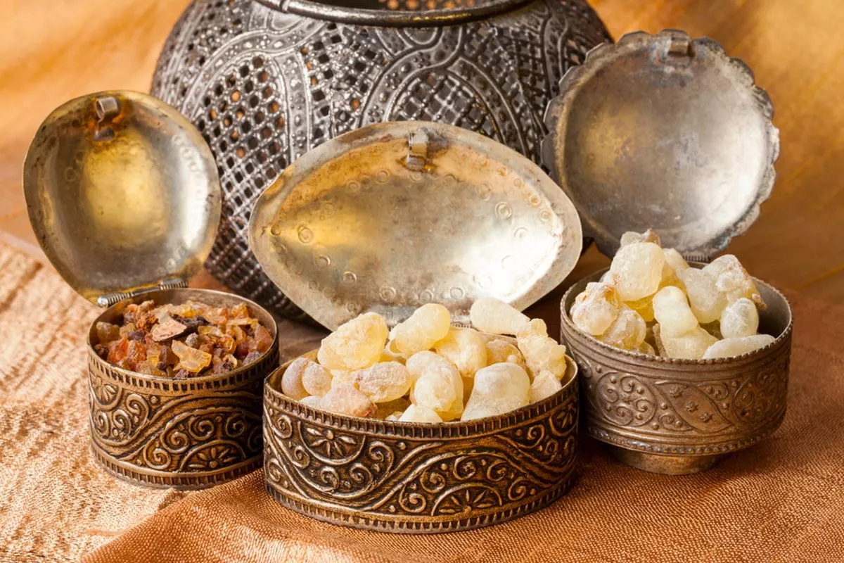BRIN Hapus Kesan Mitis, Kemenyan Berpotensi Jadi Parfum Dunia