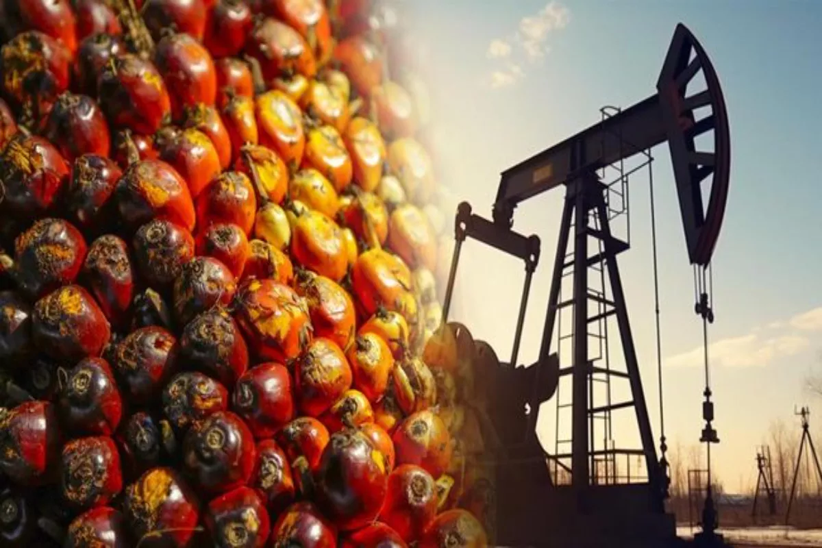 Harga Energi Menurun, Pergerakan Harga CPO Kini Cenderung Fluktuatif