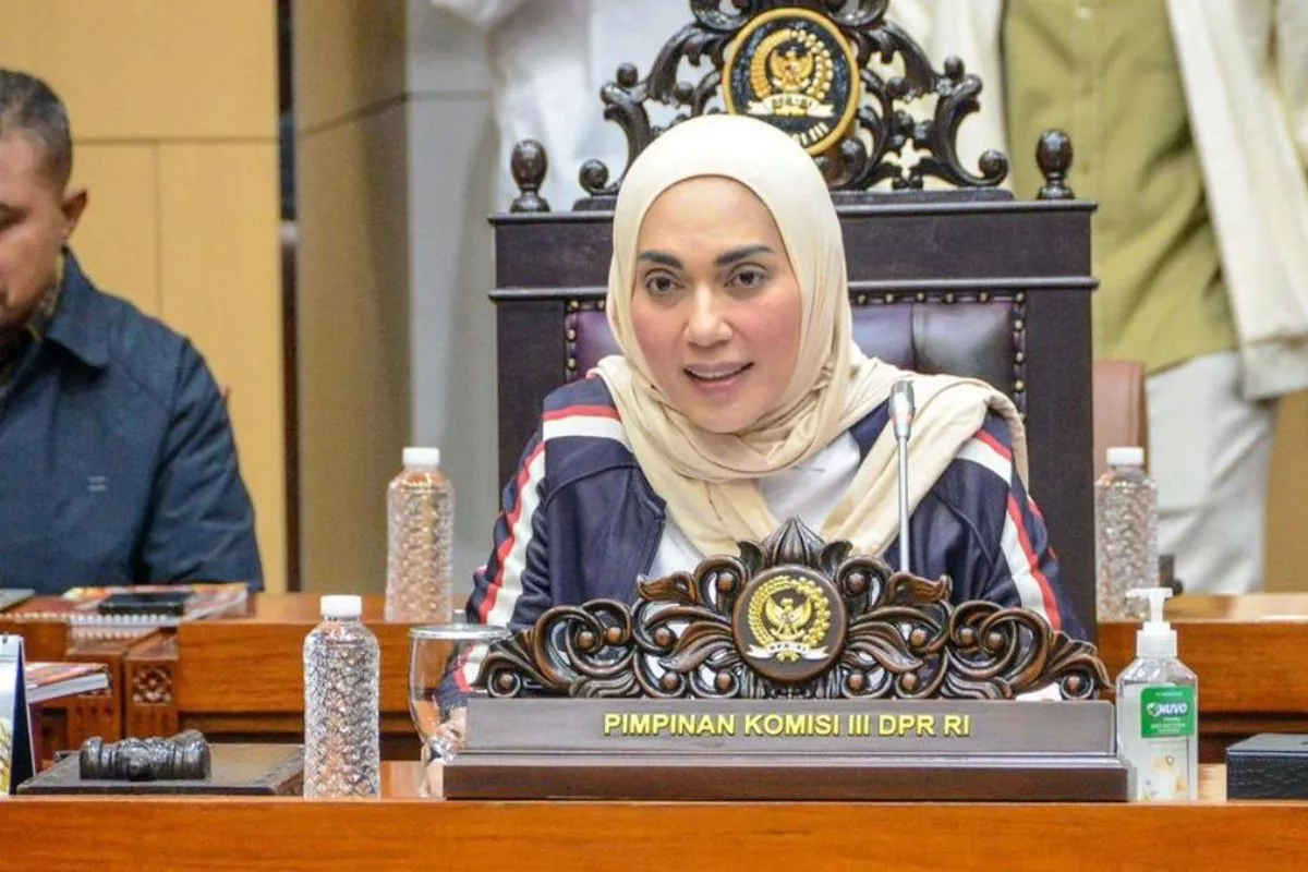Pencuri Ayam Tewas di Bali, DPR Desak Edukasi Hukum Masyarakat