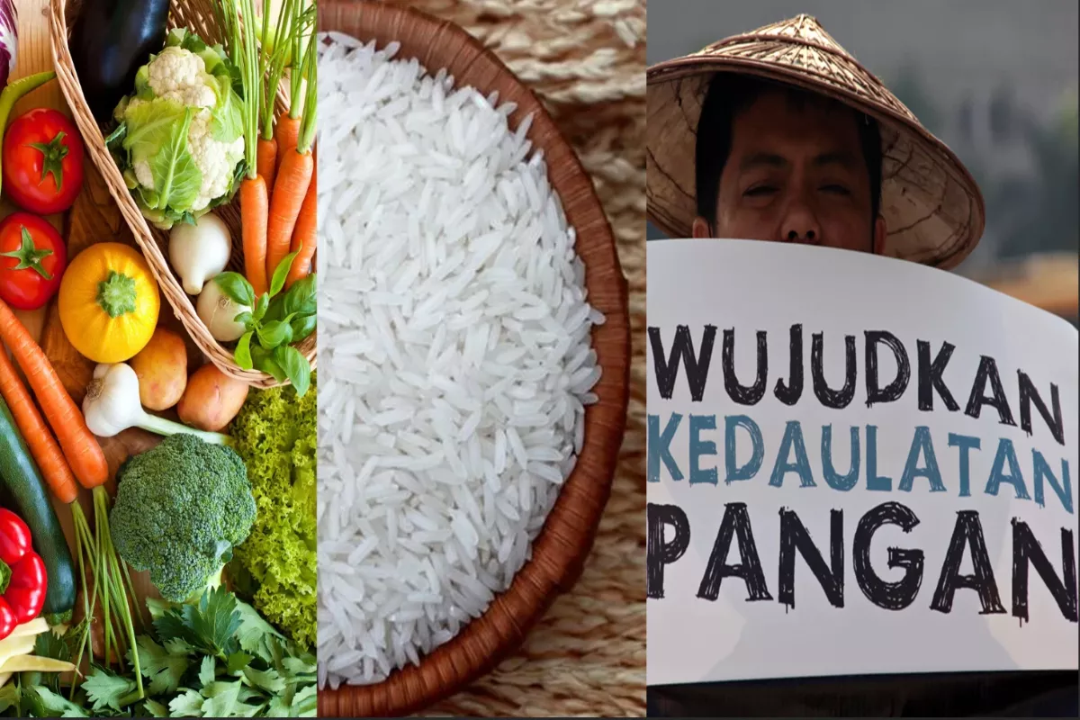 Aturan Impor Gandum dan Beras Pakan Resmi Diperketat Mendag