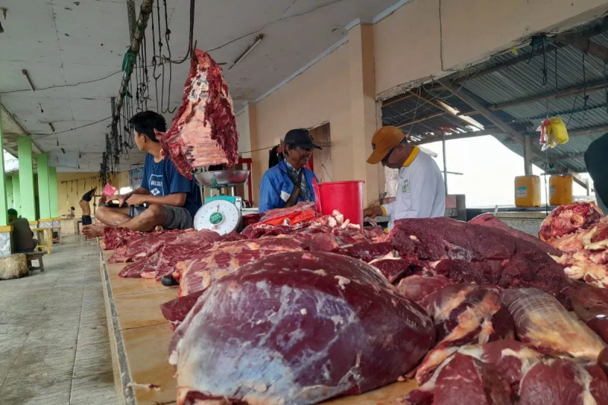 Tembus Rp143 Ribu, Harga Daging Sapi Nasional Melampaui HAP