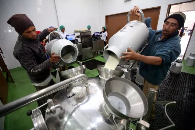 MBG Menopang Kenaikan Kebutuhan Susu, Impor Kini Semakin Meningkat