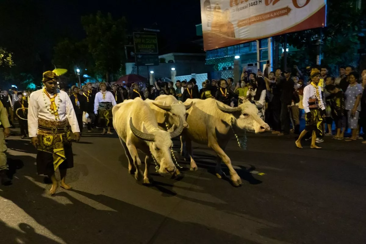 Alasan Generasi Muda Tertarik Ikut Kirab 1 Suro di Surakarta