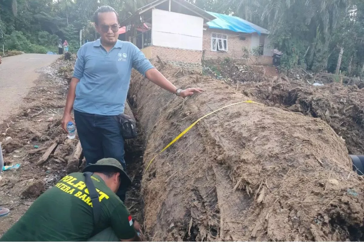 Kemenhut Targetkan Pemulihan 250 DAS Kritis hingga Lima Tahun Depan