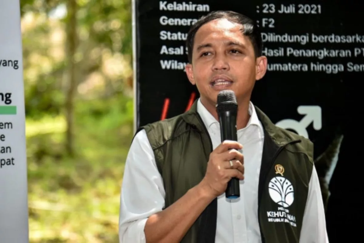 Cegah Karhutla, Menhut Larang Keras Metode Pembakaran Lahan
