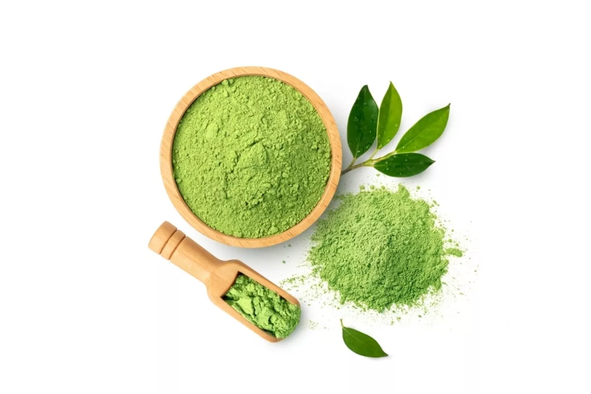 Panduan Lengkap Kreasi Matcha Kekinian 2026 Paling Hits